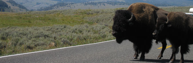 Montana
